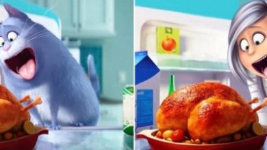 כך היו נראות דמויות אנימציה מסרטים מוכרים אם הן היו הופכות לבני אדם. מס' 9 מתעלה על המקור!